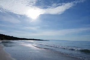 Rivier Nayarit – Bahía de Banderas Blog 3