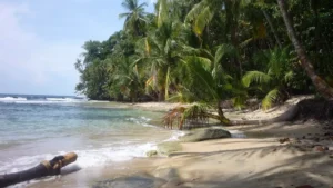 ¿Por qué promover al Turismo Consciente Blog 2